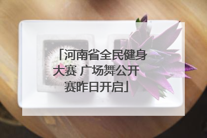 河南省全民健身大赛 广场舞公开赛昨日开启