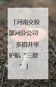 河南交投漯河分公司：多措并举护航“三夏”
