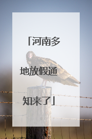 河南多地放假通知来了