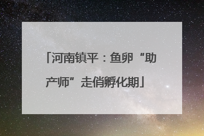 河南镇平：鱼卵“助产师”走俏孵化期
