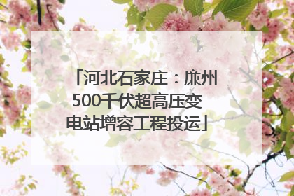 河北石家庄：廉州500千伏超高压变电站增容工程投运