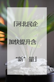 河北民企加快提升含“新”量