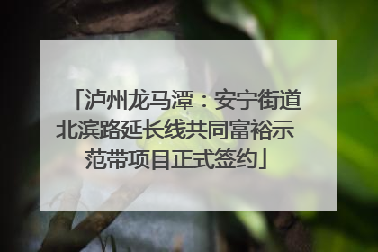 泸州龙马潭：安宁街道北滨路延长线共同富裕示范带项目正式签约