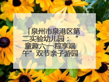 泉州市泉港区第二实验幼儿园：“童趣六一·粽享端午”双节亲子游园会欢乐开启