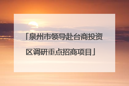 泉州市领导赴台商投资区调研重点招商项目