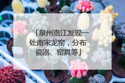 泉州洛江发现一处南宋龙窑，分布瓷器、窑具等