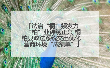 法治“桐”频发力 “柏”业锦绣正兴 桐柏县政法系统交出优化营商环境“成绩单”