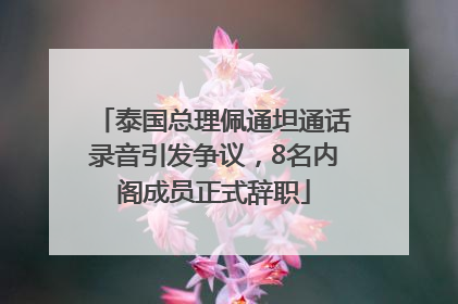 泰国总理佩通坦通话录音引发争议，8名内阁成员正式辞职