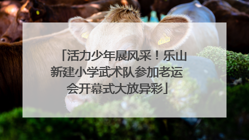 活力少年展风采！乐山新建小学武术队参加老运会开幕式大放异彩