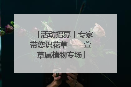 活动招募丨专家带您识花草——萱草属植物专场