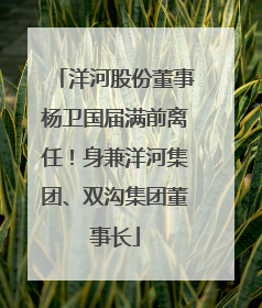 洋河股份董事杨卫国届满前离任！身兼洋河集团、双沟集团董事长
