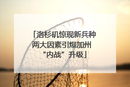 洛杉矶惊现新兵种 两大因素引爆加州“内战”升级