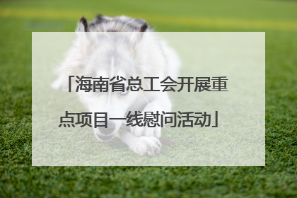 海南省总工会开展重点项目一线慰问活动