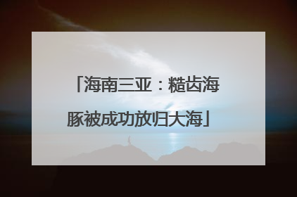海南三亚：糙齿海豚被成功放归大海