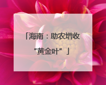 海南：助农增收 “黄金叶”