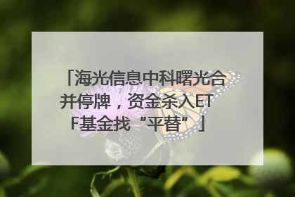 海光信息中科曙光合并停牌，资金杀入ETF基金找“平替”