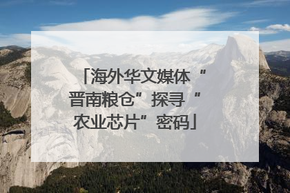 海外华文媒体“晋南粮仓”探寻“农业芯片”密码