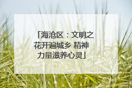 海沧区：文明之花开遍城乡 精神力量滋养心灵