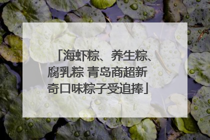 海虾粽、养生粽、腐乳粽 青岛商超新奇口味粽子受追捧
