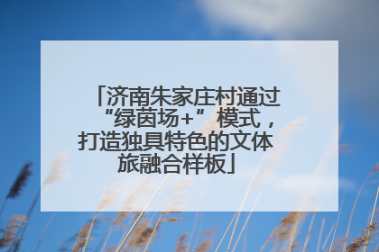 济南朱家庄村通过“绿茵场+”模式，打造独具特色的文体旅融合样板