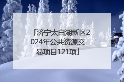 济宁太白湖新区2024年公共资源交易项目121项