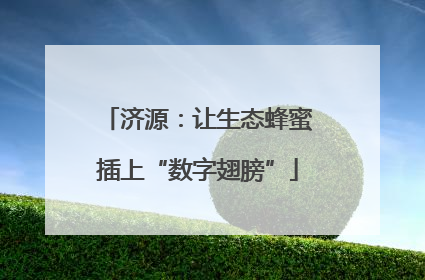 济源：让生态蜂蜜插上“数字翅膀”