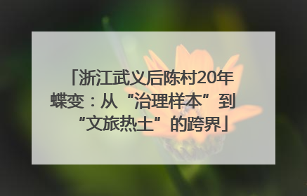 浙江武义后陈村20年蝶变：从“治理样本”到“文旅热土”的跨界