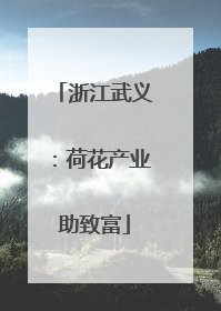 浙江武义：荷花产业助致富
