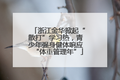浙江金华掀起“散打”学习热，青少年强身健体响应“体重管理年”