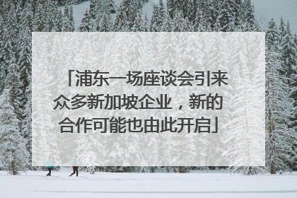 浦东一场座谈会引来众多新加坡企业，新的合作可能也由此开启
