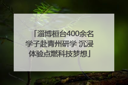 淄博桓台400余名学子赴青州研学 沉浸体验点燃科技梦想