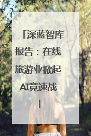 深蓝智库报告：在线旅游业掀起AI竞速战