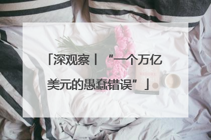 深观察丨“一个万亿美元的愚蠢错误”