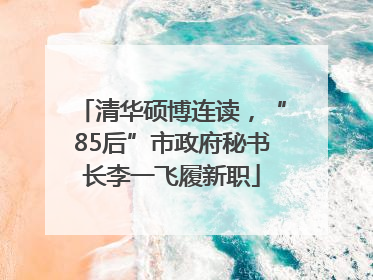 清华硕博连读，“85后”市政府秘书长李一飞履新职