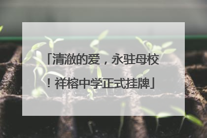 清澈的爱，永驻母校！祥榕中学正式挂牌