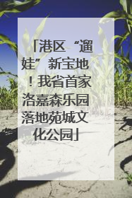 港区“遛娃”新宝地！我省首家洛嘉森乐园落地苑城文化公园