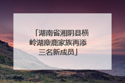 湖南省湘阴县横岭湖麋鹿家族再添三名新成员