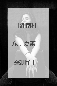 湖南桂东：夏茶采制忙