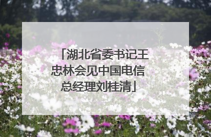 湖北省委书记王忠林会见中国电信总经理刘桂清