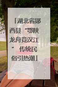 湖北省郧西县“鄂陕龙舟竞汉江” 传统民俗引热潮