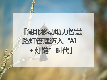 湖北移动助力智慧路灯管理迈入“AI＋灯链”时代