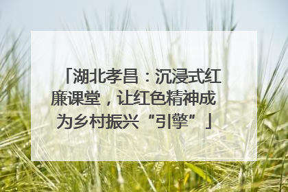 湖北孝昌：沉浸式红廉课堂，让红色精神成为乡村振兴“引擎”