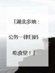 湖北多地：公务一律扫码吃食堂！