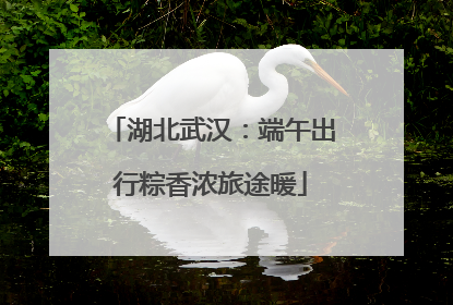 湖北武汉：端午出行粽香浓旅途暖