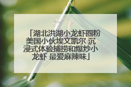 湖北洪湖小龙虾圈粉美国小伙埃文凯尔 沉浸式体验捕捞和爆炒小龙虾 最爱麻辣味
