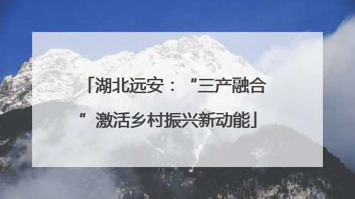湖北远安：“三产融合”激活乡村振兴新动能