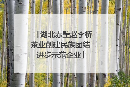 湖北赤壁赵李桥茶业创建民族团结进步示范企业