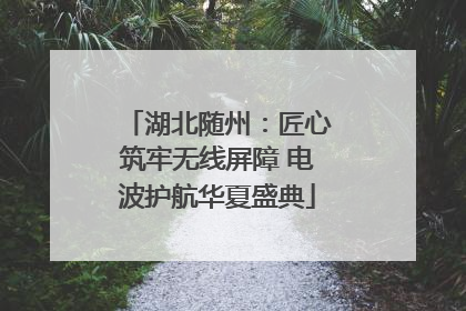 湖北随州：匠心筑牢无线屏障 电波护航华夏盛典
