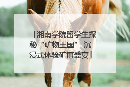 湘南学院留学生探秘“矿物王国” 沉浸式体验矿博盛宴