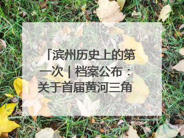 滨州历史上的第一次｜档案公布：关于首届黄河三角洲城市经济博览会暨发展论坛情况的总结报告